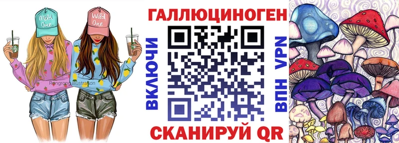 Псилоцибиновые грибы Psilocybine cubensis Чадан
